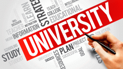 ¿Qué Licenciatura estudiar?