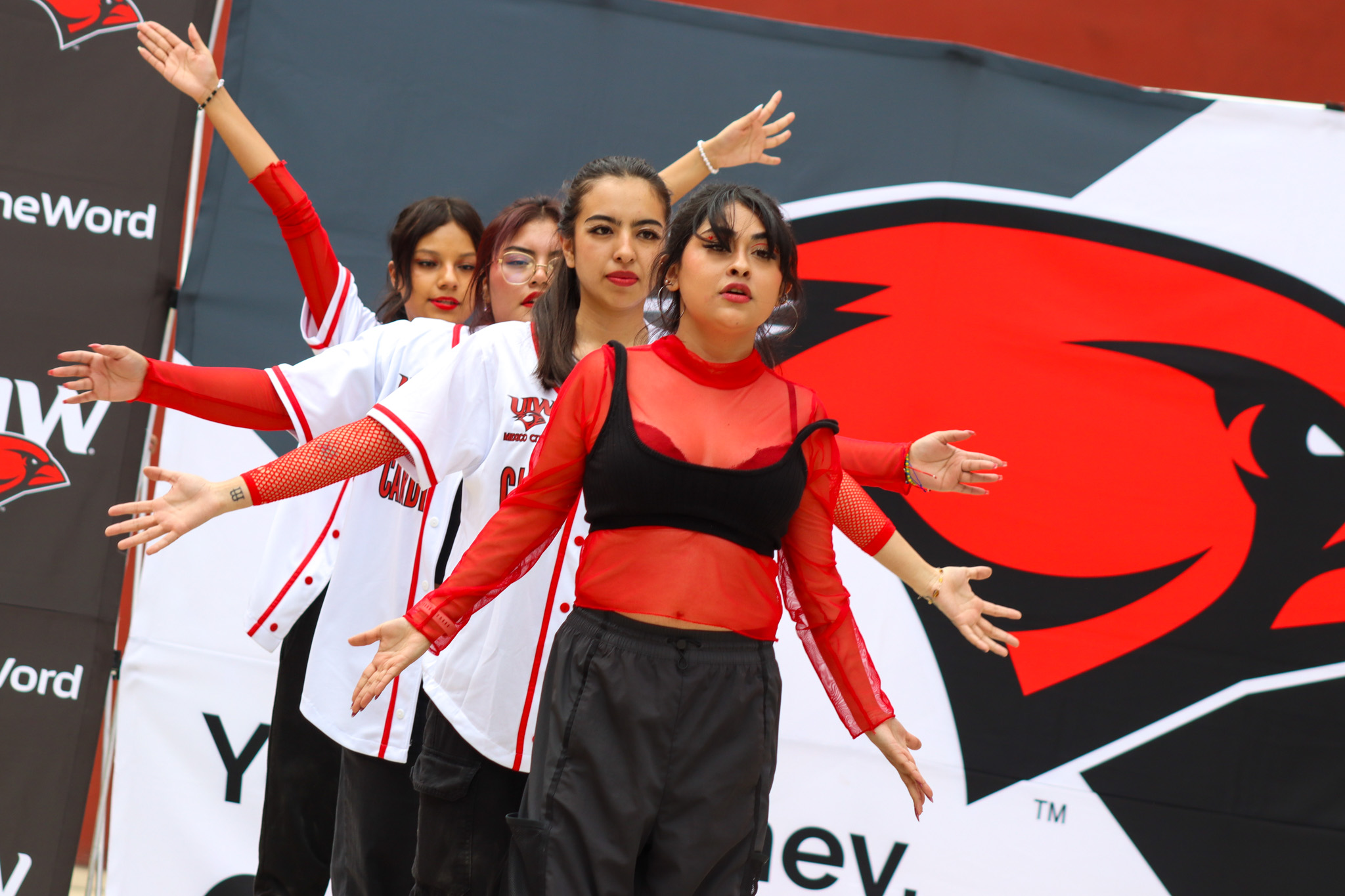 Cardinal’s Flight Back to the Nest 2025